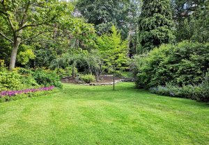 Optimiser l'expérience du jardin à Esserts-Blay