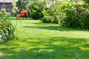 travaux jardin et paysage Esserts-Blay